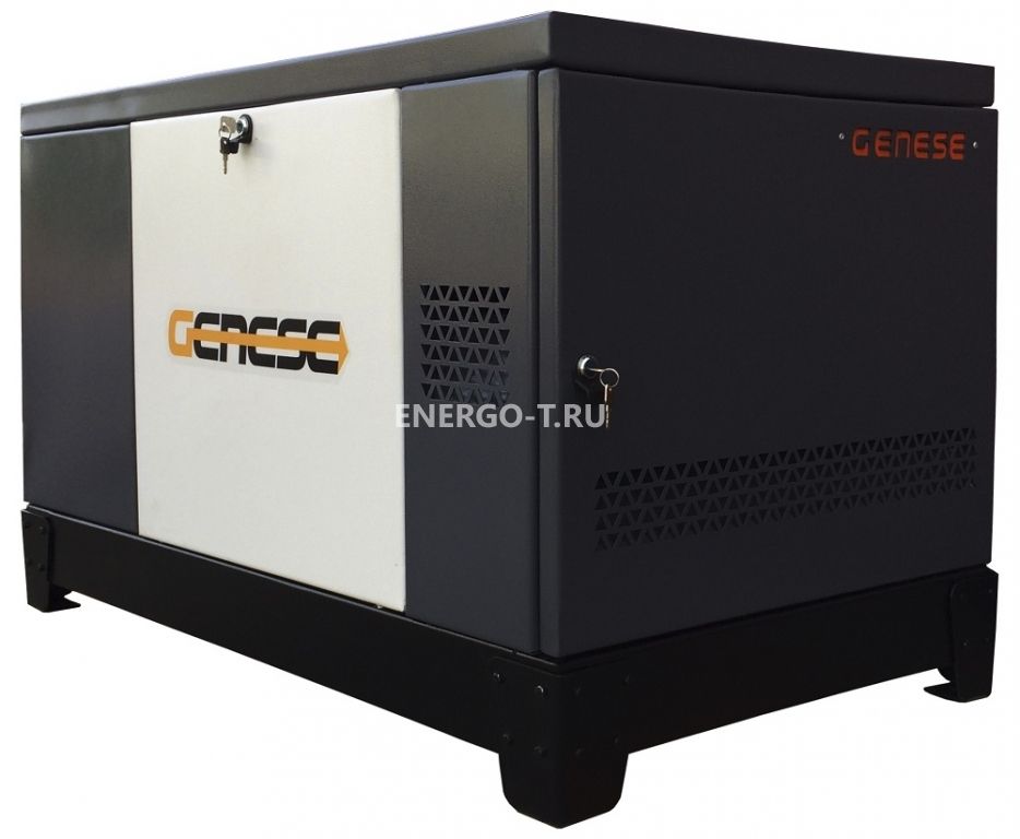 Газовый генератор  Pro 10000 Neva в кожухе